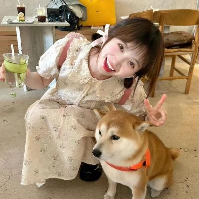 聪明的鸭子